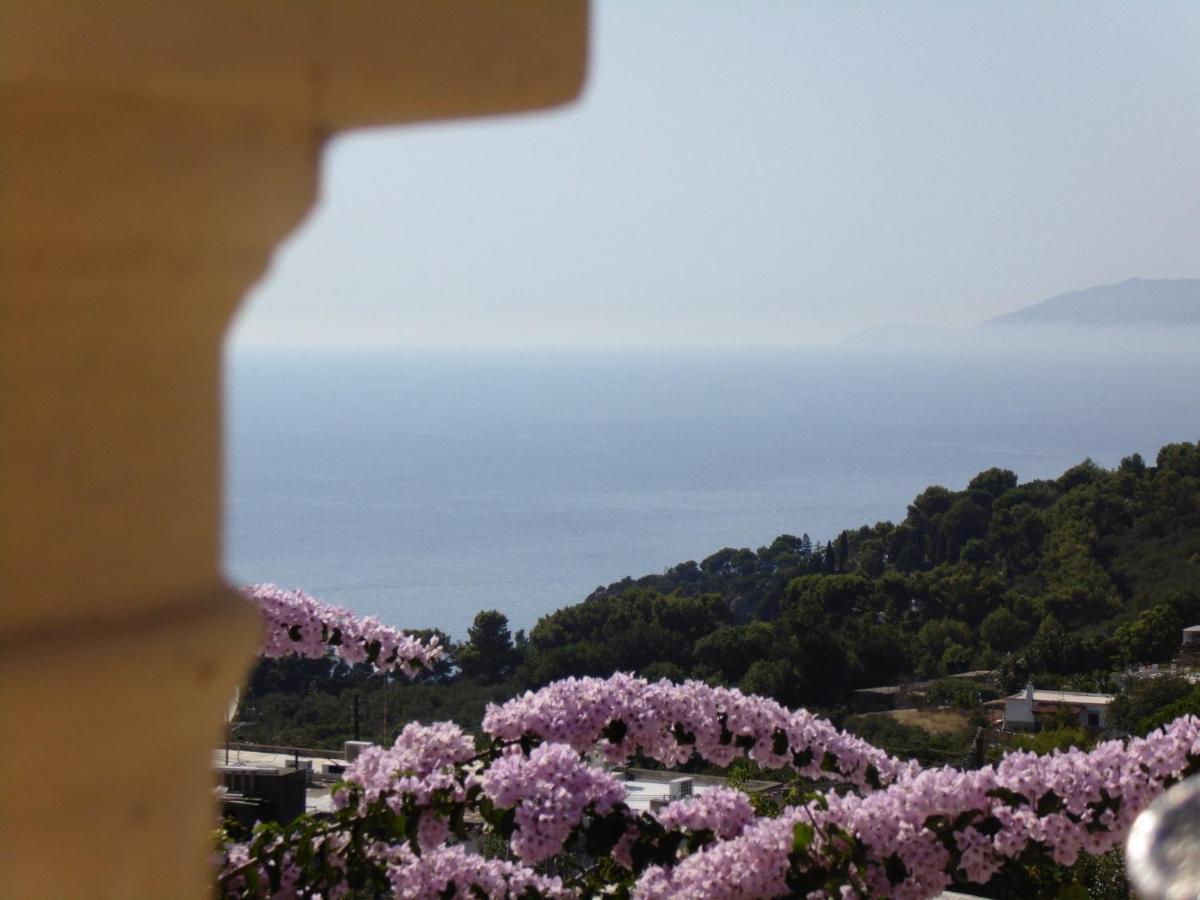 Villa Mimosa Resort Anacapri  Ngoại thất bức ảnh